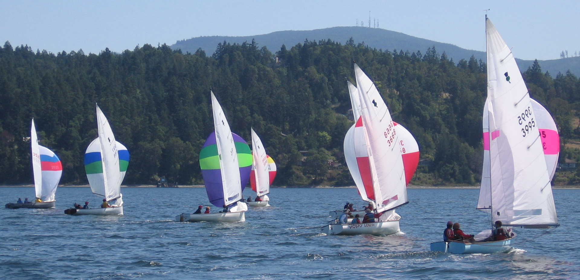 sequim bay thistle regatta august 2009 008a